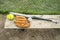 Baseball bat glove and balls on a wood bench