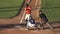 Baseball Batter Doesn\'t Swing, Lack of Trying