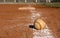 Baseball on the Chalk Line near third base