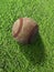 Baseball on the clear green grass turf close-up. Top view