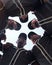 The baseball community is a close knit one. Low angle shot of a group of young men huddled together at a baseball game.