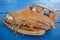 Baseball glove on a blue background