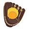 Baseball glove brown
