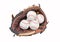 Baseball Glove with four Baseballs.