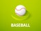 Baseball isometric icon, on color background