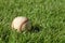 A baseball laying in the grass.