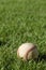 A baseball laying in the grass.