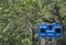 Baseball outfield score board, in Largo, Florida