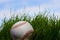 Baseball over young grass background