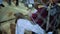 Baseball player playing with a bat inside dugout.