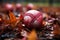 Baseball rests amidst autumn leaves in rain gutter, blending sports with seasonal beauty