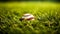 A baseball rests peacefully in the lush green grass