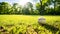 A baseball rests peacefully in the lush green grass