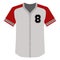 Baseball shirt icon