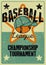 Baseball typographical vintage grunge style poster. Retro vector illustration.