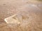 Baseball, Wet Field, Footprints in the Mud