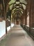 Basel Minster cloister