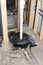 Basement Sump Pump Crock Home Improvement