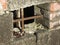 Basement window with rusty iron bars on old abandoned brick house