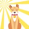 Basenji Dog with Closed Eyes on Sunny Background