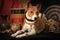 Basenji dog lies on a sofa in an African style room