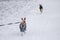 Basenji dog wearing coat and being on a lead walking on a snow covered road