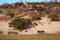 Bashang grassland in Inter-Mongolia of China