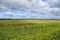 Bashkir Ural mountains foothills fields