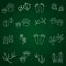 Basic animal footprints outline icons set