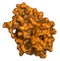 Basic fibroblast growth factor (bFGF) molecule. Plays role in wound healing, angiogenesis, etc