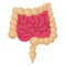 Basic RGB internal, intestine Vector Illustration icon which can easily modify