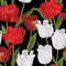 Basic RGBSeamless pattern of red and white tulip flowers background.