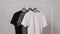 Basic stylish t-shirts. Wardrobe items. Pictures for a clothing store