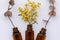 Basic white background image featuring small isolated amber glass vials with fresh yellow wattle flowers and dried gum leaves