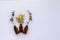 Basic white background image featuring small isolated amber glass vials with fresh yellow wattle flowers and dried gum leaves