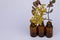 Basic white background image featuring small isolated amber glass vials with fresh yellow wattle flowers and dried gum leaves