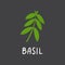 Basil branch with lettering. Flat hand drawn italian herb for cooking isolated on dark background.