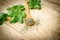 Basil - dry, dried and fresh basil in spoon on table