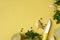 Basil, peppercorns, cloves of garlic, lime, kitchen knife on a yellow background