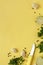 Basil, peppercorns, cloves of garlic, lime, kitchen knife on a yellow background. Vertical photo.