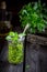 Basil pesto sauce in glass on wooden table.