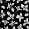 Basil Seamless Pattern. Italian herbs