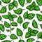 Basil seamless pattern. Vector drawing. Botanical plant and leaves illustration