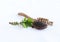 Basil Seeds on a Wooden Spoon and Leaves and Dry Stalk