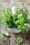 Basil, thyme, rosemary and tarragon. Mortar bowl with fresh aromatic herbs for cooking.