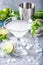 Basil vodka gimlet martini