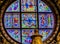 Basilica Blue Virgin Mary Saints Rose Window Stained Glass Cathedral Church Siena Italy.