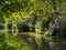 Basingstoke Canal North Hampshire