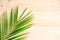 The basis for the banner with a palm leaf. Tropical banner design. Frame for text with leaf of palm tree on a wooden