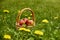 Basket with Apples.